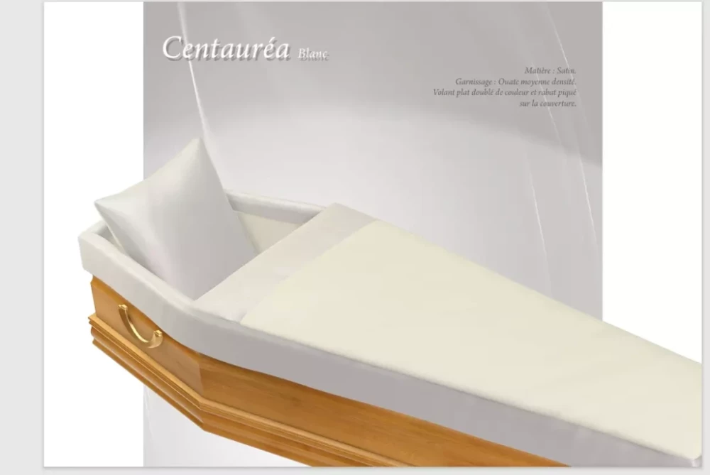 Centauréa Blanc